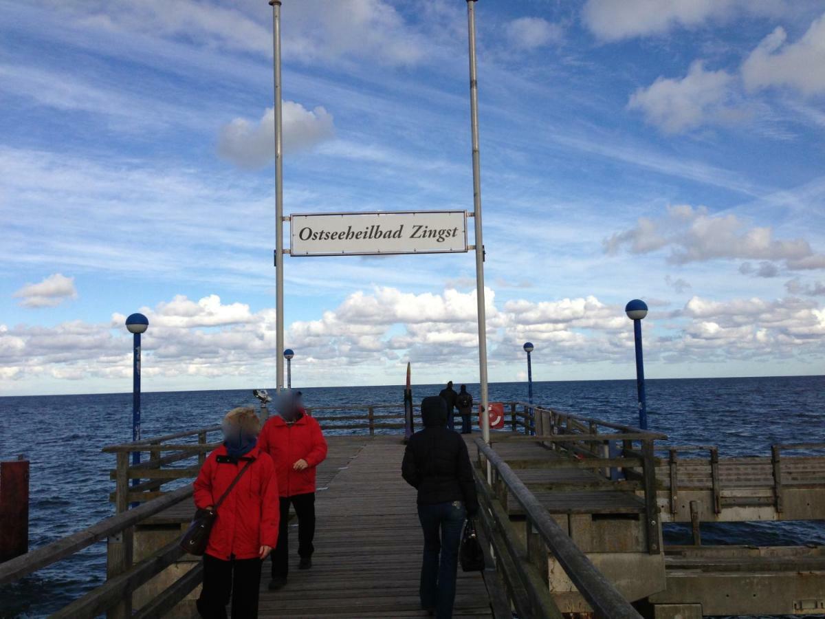 Fewo Am Alten Hafen - Zingst Ostseebad Buitenkant foto